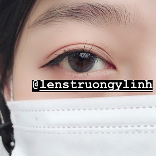 Lens vassen - bee gray - kính áp tròng