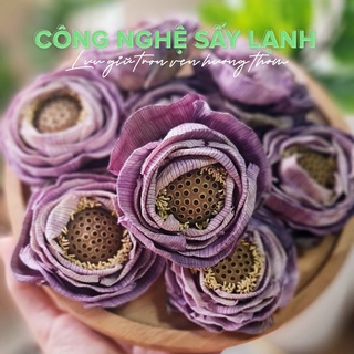 TRÀ HOA SEN SẤY LẠNH