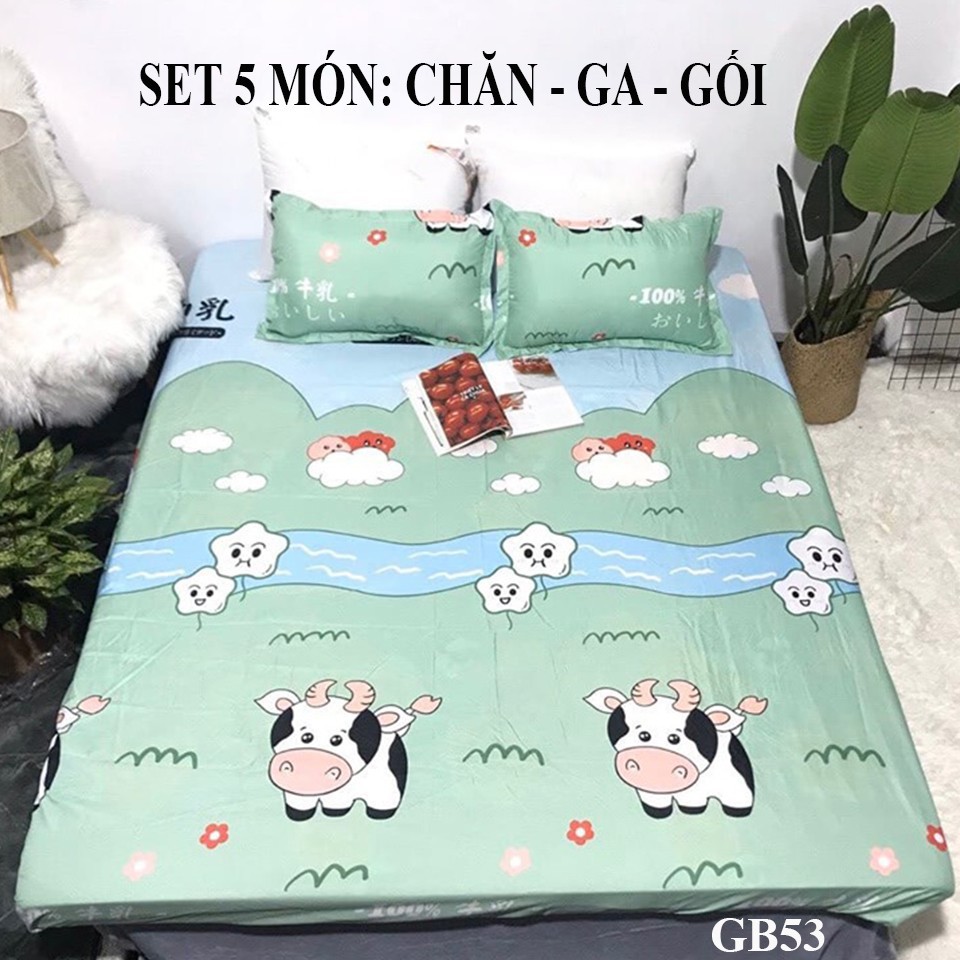 Bộ chăn ga gối 5 món - loại 1