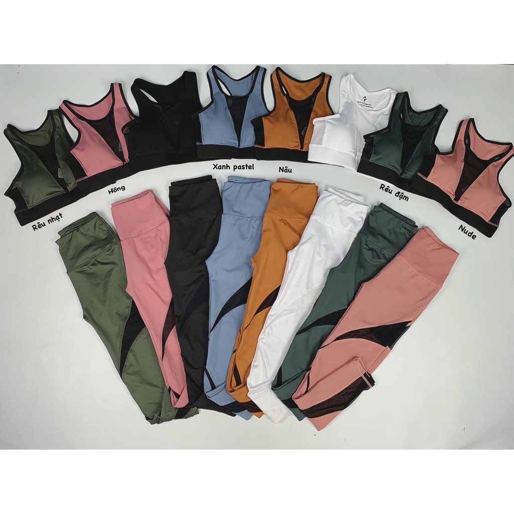 Sét đồ tập gym nữ quần dài áo bra phối lưới kèm mút Bin Sports BD067