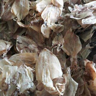 Khô mực đồng tiền