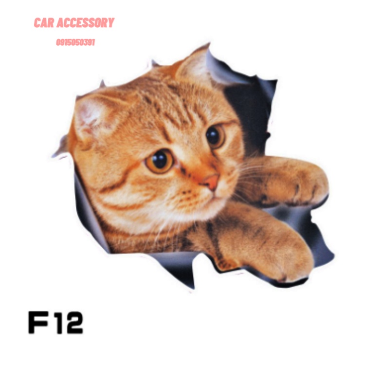 Miếng dán 3D ba chiều pug dán xe vui nhộn mèo con dễ thương đầu sói nhãn dán xe sáng tạo che viết xước tạo cá tính