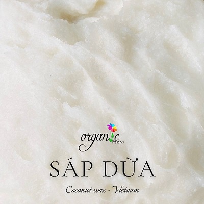 SÁP DỪA LÀM NẾN