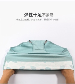 [Hàng order] Quần chip cotton