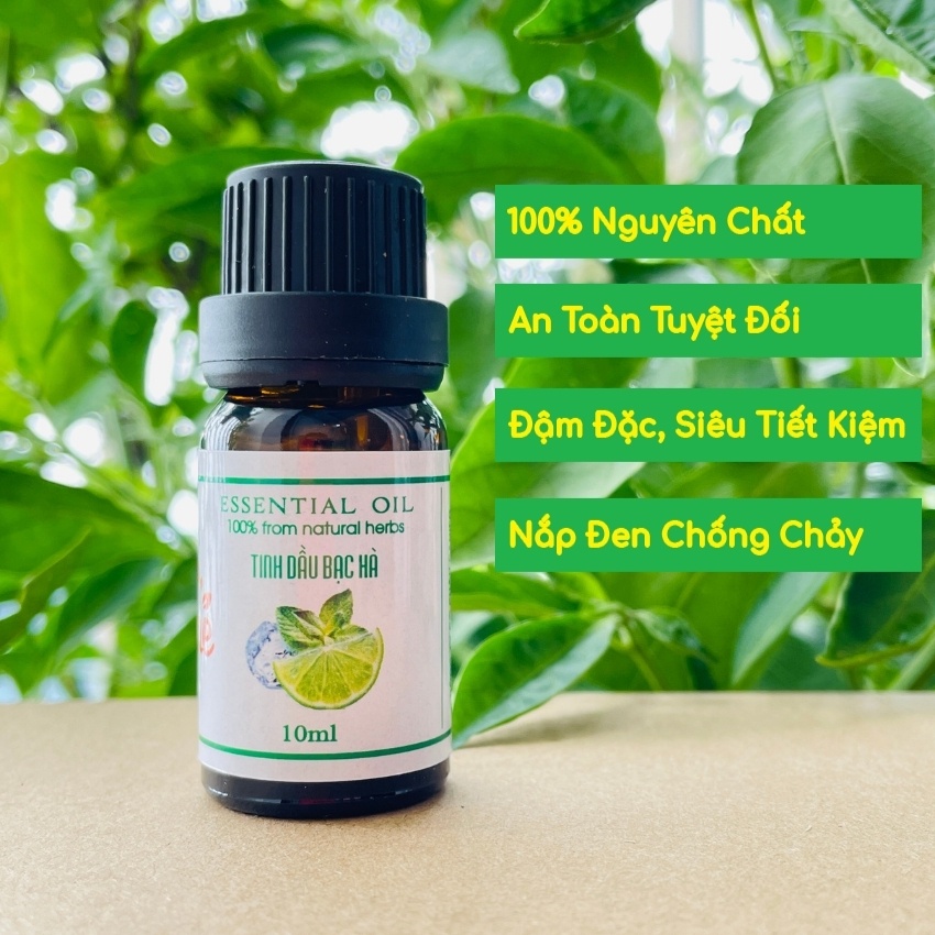 [COMBO 2 LỌ 100ML] Tinh Dầu Bạc Hà VIDAME - Hàng Chính Hãng, Xông Thơm Phòng, Khử Mùi Hiệu Quả