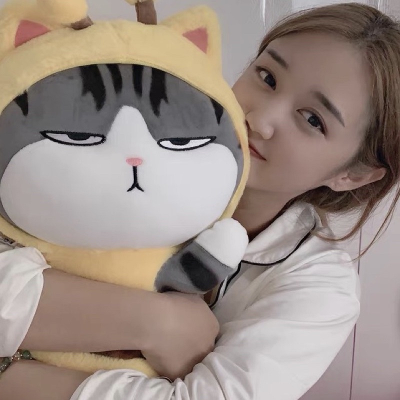 ⚡️SỈ SỐC🐱GẤU BÔNG MÈO HOÀNG THƯỢNG COSPLAY ONG CHẤT LIỆU MINISO⚡️
