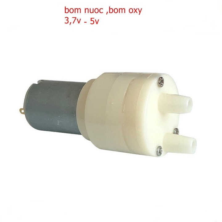 Motor bơm oxy-bơm nước 3v