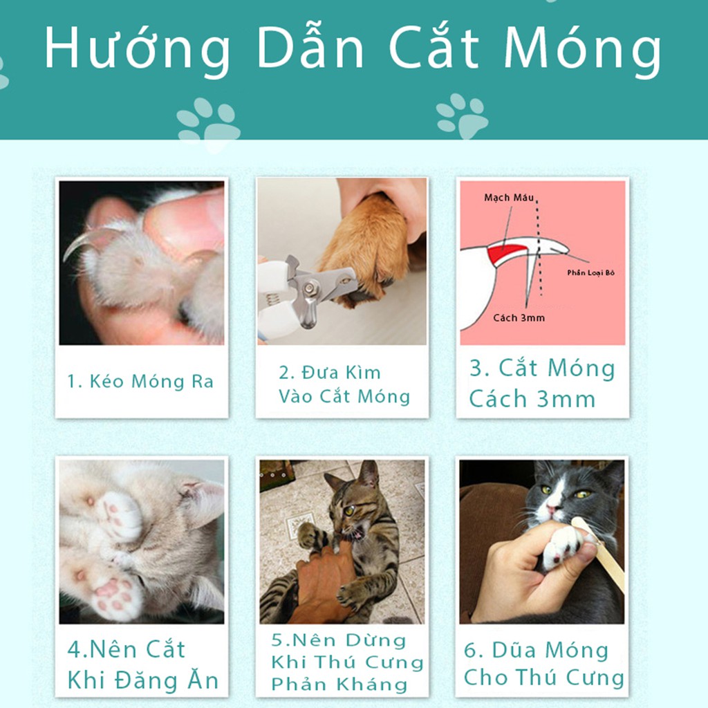 [Full Bộ] Kìm Cắt Móng Cho Chó Mèo Cong