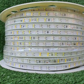 Cuộn Dây Led Trang Trí Hắt Trần Trong Nhà,Ngoài Trời Chíp 2835 2 hàng Bóng 100m