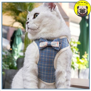 [Rẻ Vô Địch] Dây Dẫn Chó Mèo Yếm Ngực Nơ Hàn Quốc Cho Thú Cưng Chất Liệu Vải Kèm Khoá Kim Loại Cao Cấp