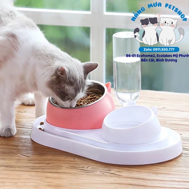 bát đôi chống kiến 400ml size lớn bát đôi chống gù cấp nước tự động