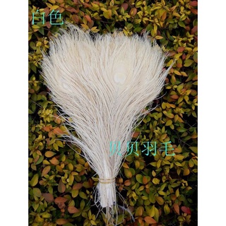 Bộ 10 lông công trắng trang trí đám cưới cỡ 10-12Inch/ 25-30cm