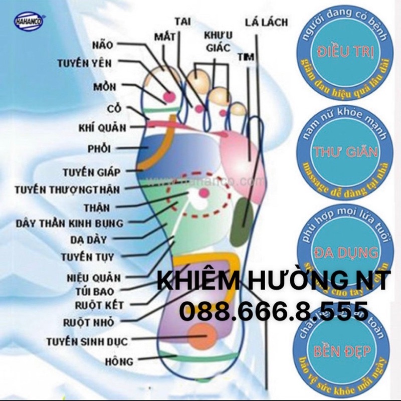 Bàn lăn chân 4 trục đứng massage gỗ cỡ lớn - giúp lưu thông máu