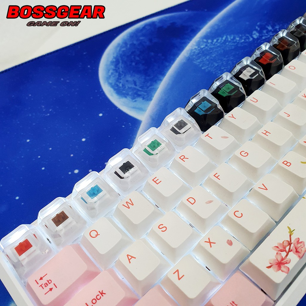 Keycap Lẻ Crystal Switch SA Profile. Keycap Artisan Trong Suốt In hình switch bàn phím cơ