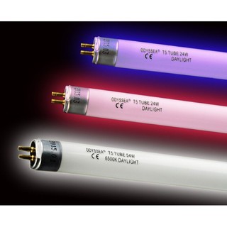 BÓNG ĐÈN ODYSSEA T5HO 50/60