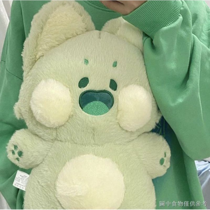 Gấu bông gấu mèo Racoon dudu meow 30cm, 40cm và 60cm