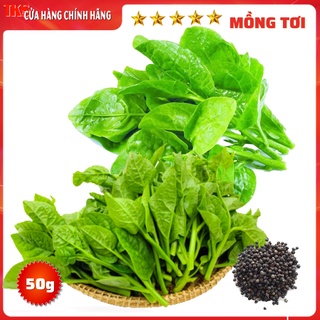 20g hạt giống rau mồng tơi: ngon ngọt, lá tròn to, dễ trồng
