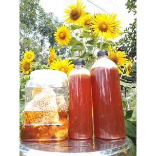 Mật Ong Rừng Nguyên Chất 1 lít