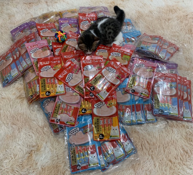 Pate Ciao Churu dạng kem (Súp thưởng cho mèo)siêu rẻ