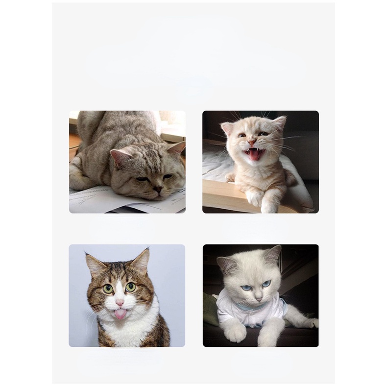 Quả Bóng catnip Xoay Cho Mèo