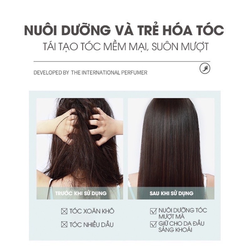 Tinh Dầu Dưỡng Tóc KARSEELL ARGAN OIL Phục Hồi Tóc Hư Tổn Bóng Mượt 50ML