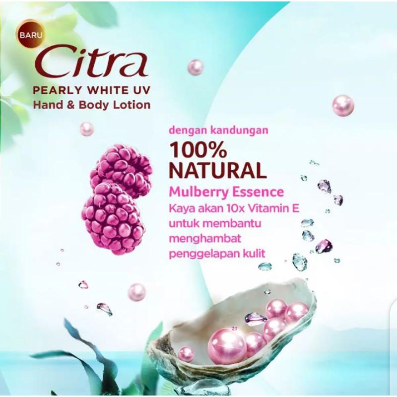 Citra Hand Body Lotion Pearly White Uv - 380ml