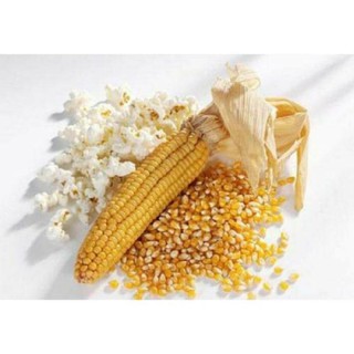 1kG Bắp Nổ - Mỹ (dùng làm món BẮP RANG BƠ)  NGON