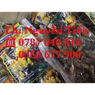 Chuối hột rừng ( loại cả quả )
