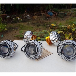 Bi cầu rồng led