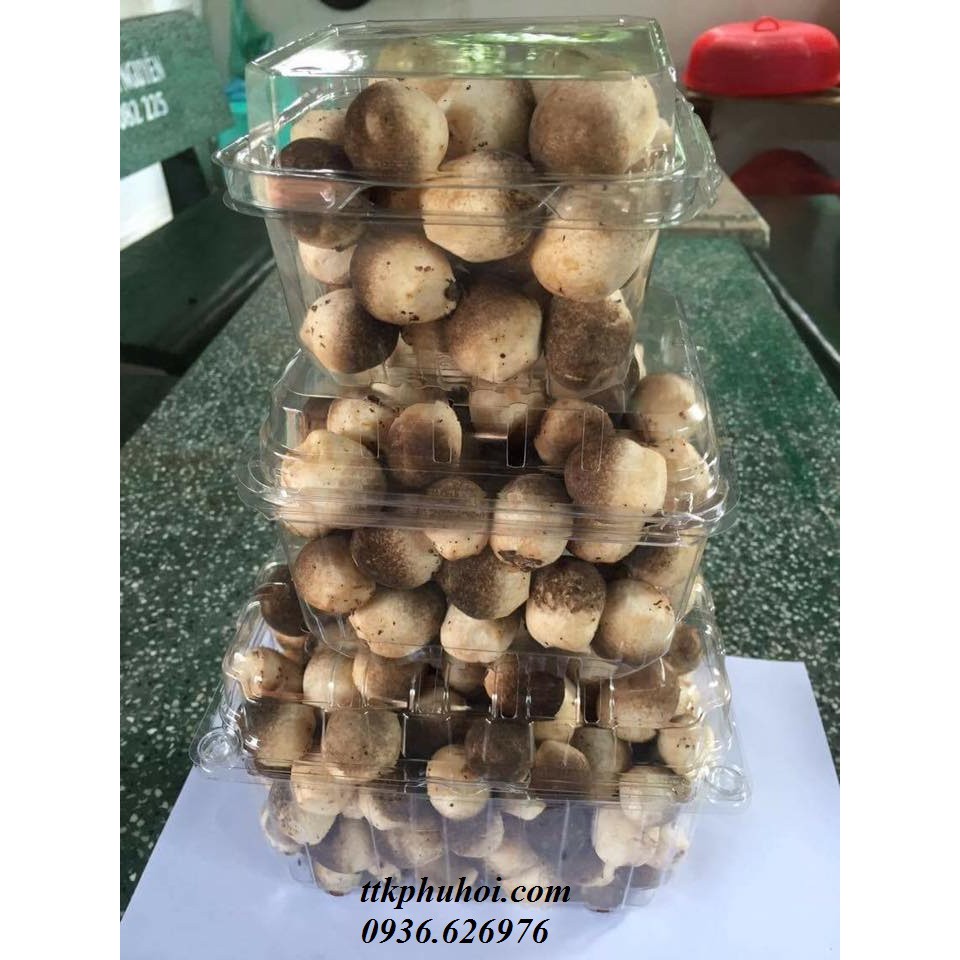 100 hộp nhựa đựng trái cây 250g- 300g P250A | BigBuy360 - bigbuy360.vn