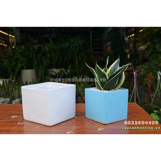 Chậu vuông thẳng cặp 2 trồng cây để bàn cây nội thất phong thủy tiểu cảnh