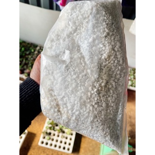 Đá perlite trồng sen ( Đá trân châu) giúp cây thoát nước tốt
