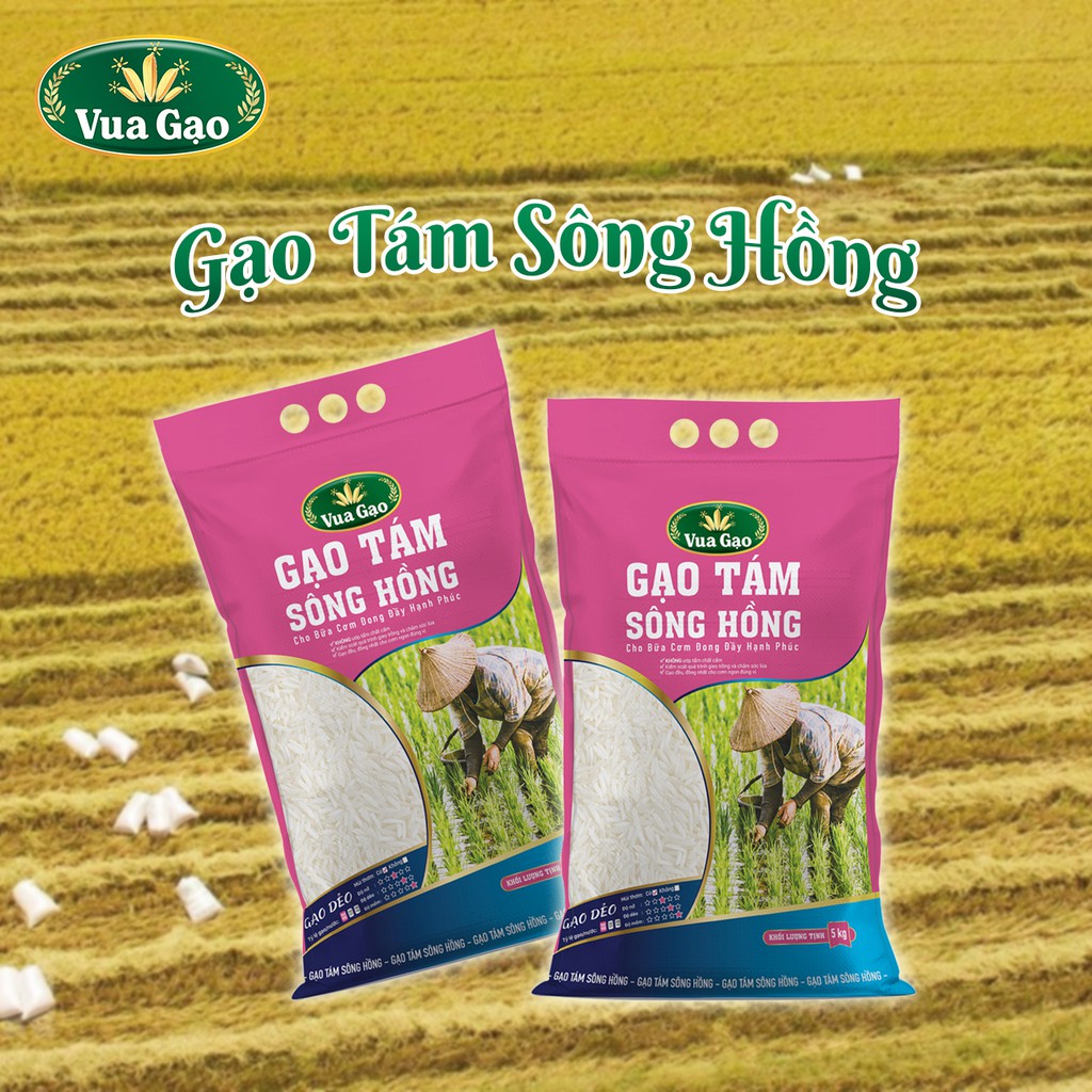 [MUA 3 TẶNG 25K] Gạo Thơm Tám Sông Hồng Túi 5kg – Chính Hãng Vua Gạo – Gạo Dẻo Nhiều, Ngọt Hậu, Ráo cơm