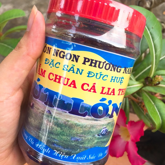 Mắm chua cá lia thia Út Lớn