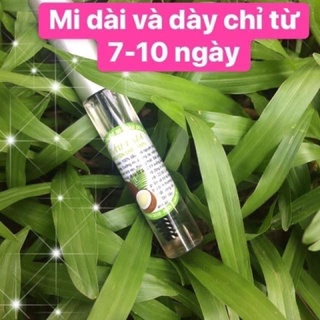 1 Chiếc chuốt mi dầu dừa 10ml mi dày và cong