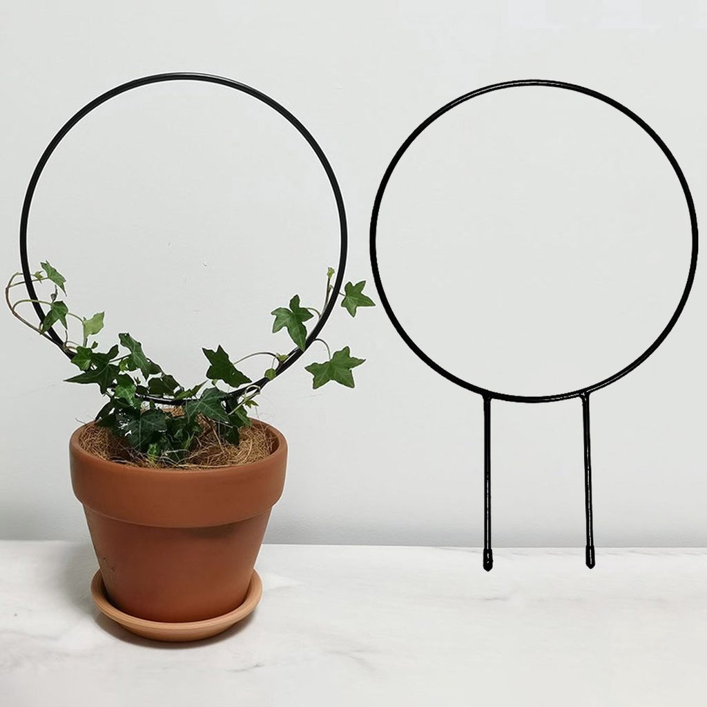 Khung Hỗ Trợ Trồng Cây Hình Tròn Bằng Sắt Chắc Chắn Dùng Trong Nhà / Ngoài Trời