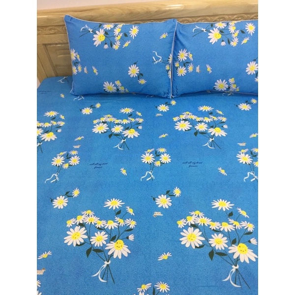 Drap Thắng Lợi 30 mẫu xuất siêu thị 1m6x2m & 1m8x2m nệm 3-17cm 4 món xịn