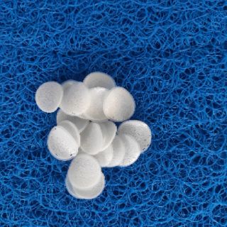 Bio chip 100g