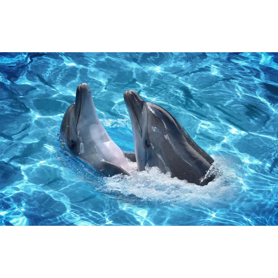 Tranh Dán Tường Hoạt Hình Thế Giới Đại Dương 3D chất liệu chống thấm nước