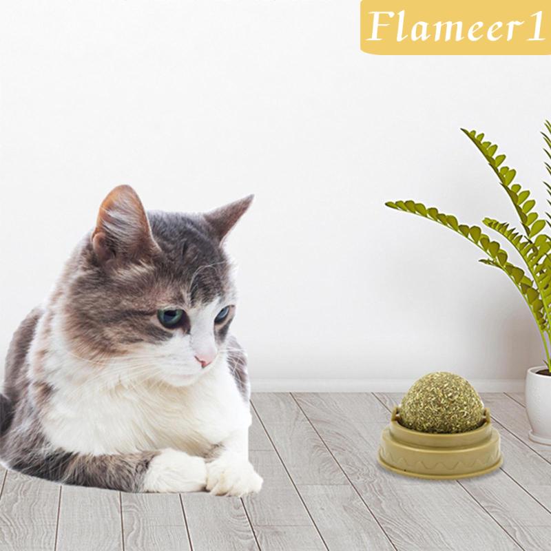 [Flameameer1] Quả Bóng Bạc Hà Tự Nhiên Làm Sạch Răng Nuôi Dưỡng Gắn Tường Cho Mèo