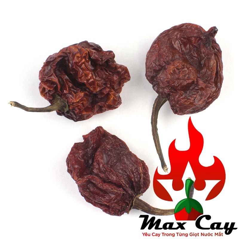 Ớt khô Carolina Reaper giống ớt cay nhất thế giới