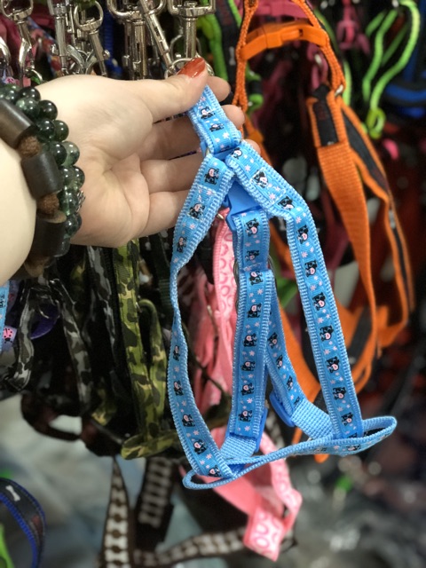 Dây dẫn Yếm cho Thú cưng