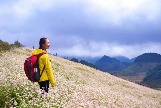 Bánh tam giác mạch Mộc châu