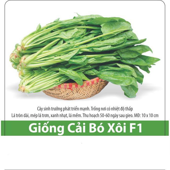 Hạt Giống Cải Bó Xôi  Chịu Nhiệt, Dễ Trồng 5gr