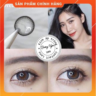 [Ảnh Thật] Lens Dreamy Gray/Brown 15.0mm kèm khay dụng cụ FREESHIP