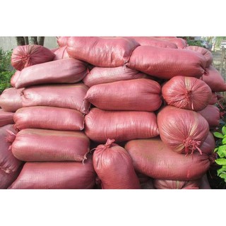 Xơ dừa (bao)- chất trộn trồng cây