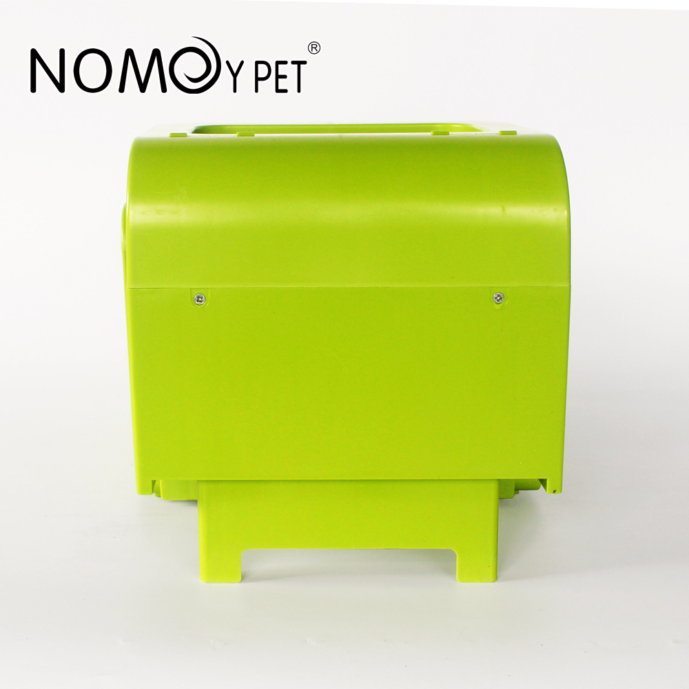 Bể chia rùa Bể rùa nhiều màu với sân thượng  Nuôi rùa thằn lằn nhện Bò sát