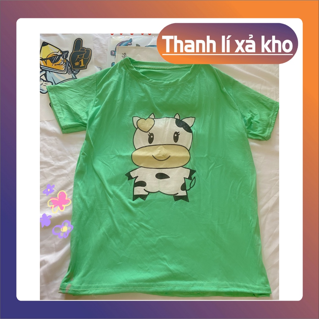 Áo Thun Nữ , Áo Phông Nữ Tay ngắn cổ tròn Giá Rẻ Xả hàng SL có hạn
