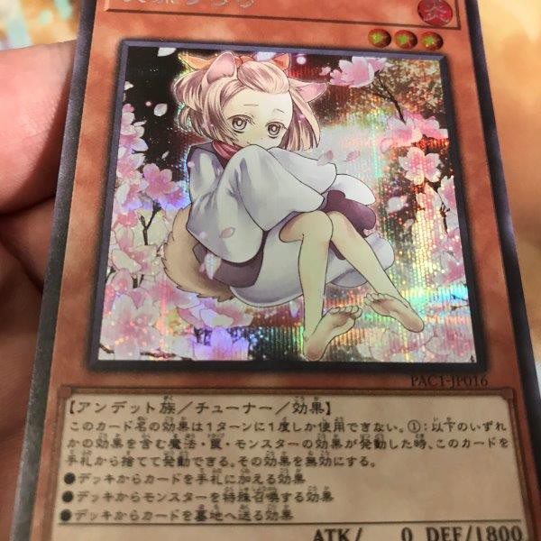 Ash Blossom & Joyous Spring  - Secret Rare  - PAC1-JP016