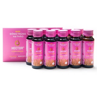 Đông Trùng Hạ Thảo Hector Collagen